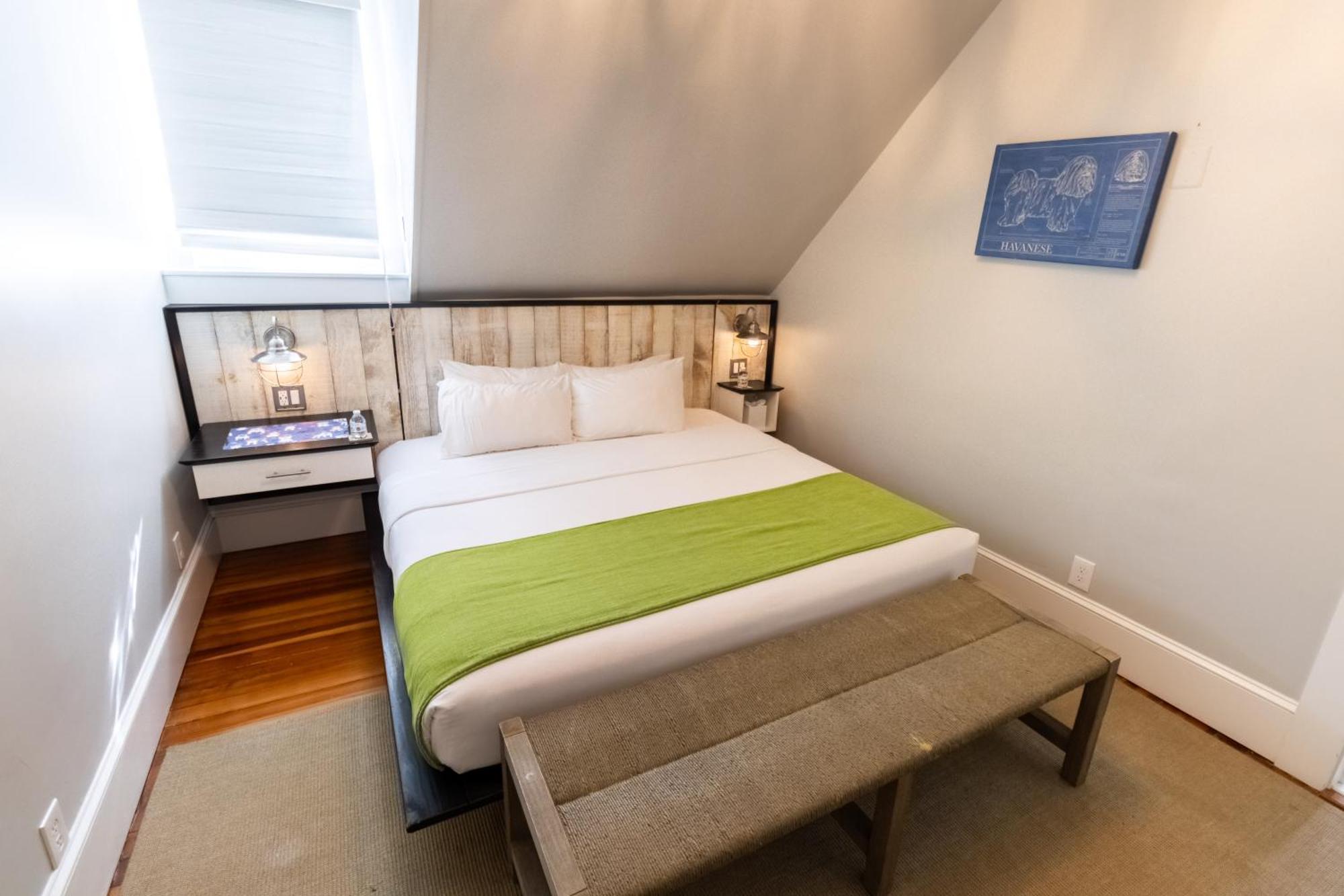 Paws On Pelham (Adults Only) Bed and Breakfast Newport Buitenkant foto