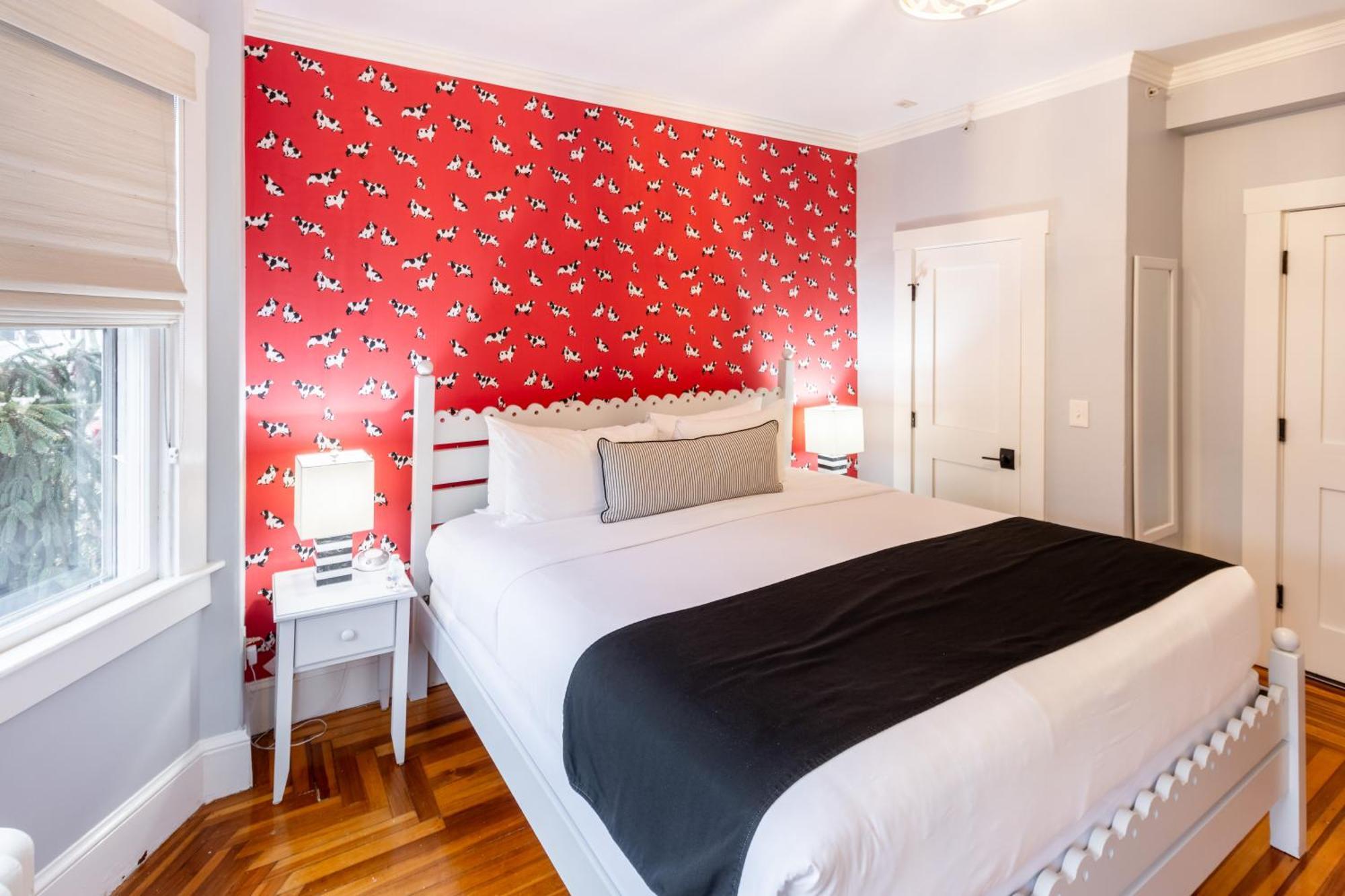 Paws On Pelham (Adults Only) Bed and Breakfast Newport Buitenkant foto