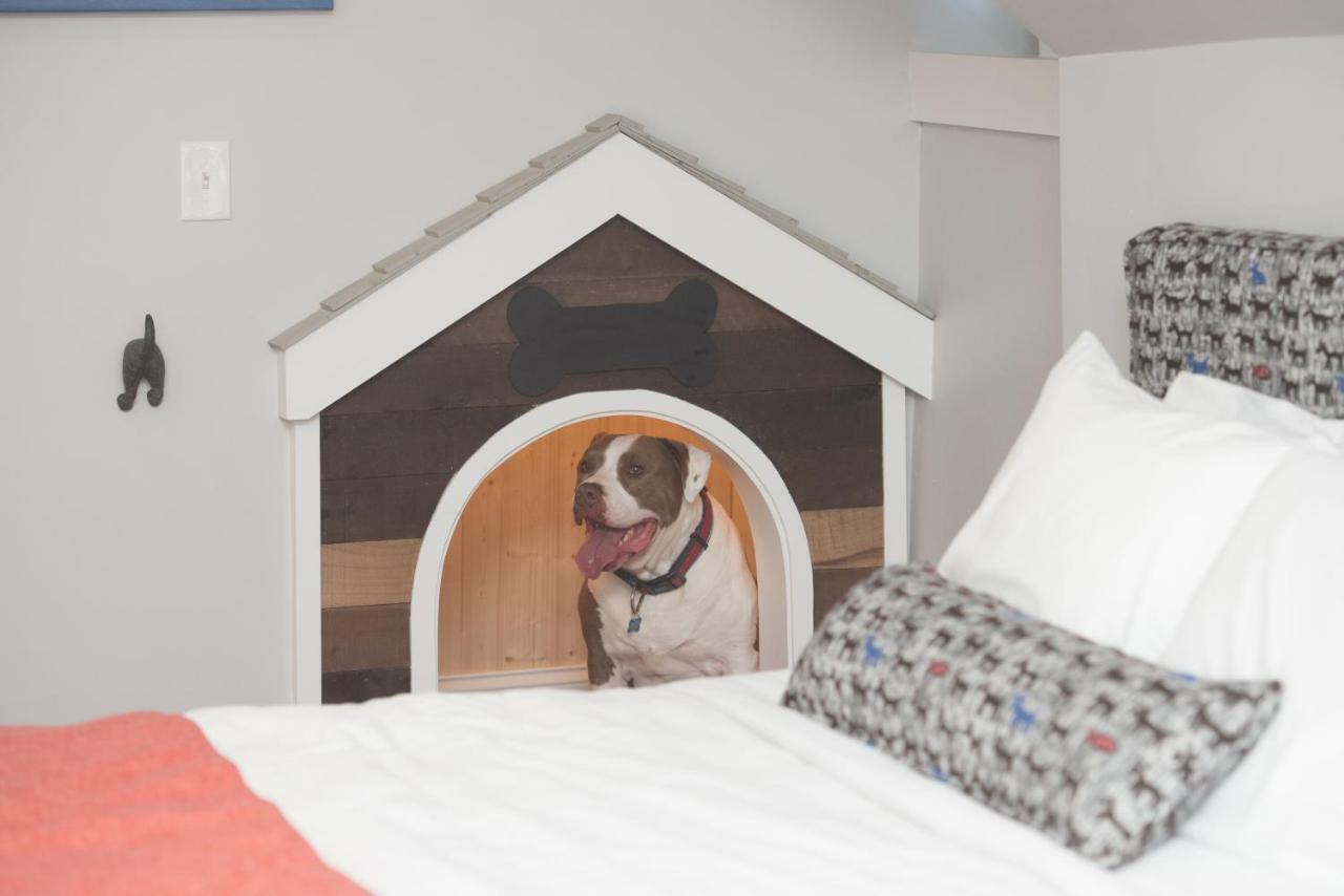 Paws On Pelham (Adults Only) Bed and Breakfast Newport Buitenkant foto