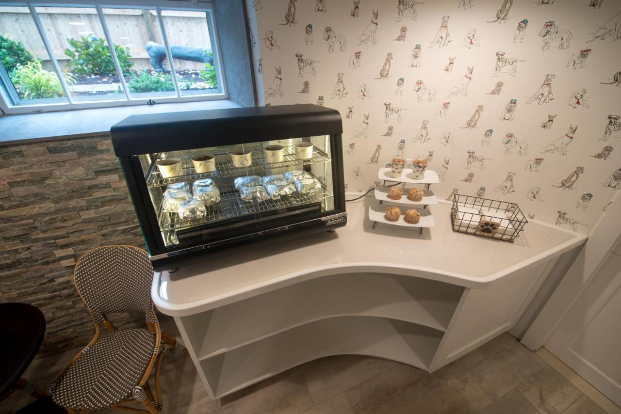 Paws On Pelham (Adults Only) Bed and Breakfast Newport Buitenkant foto